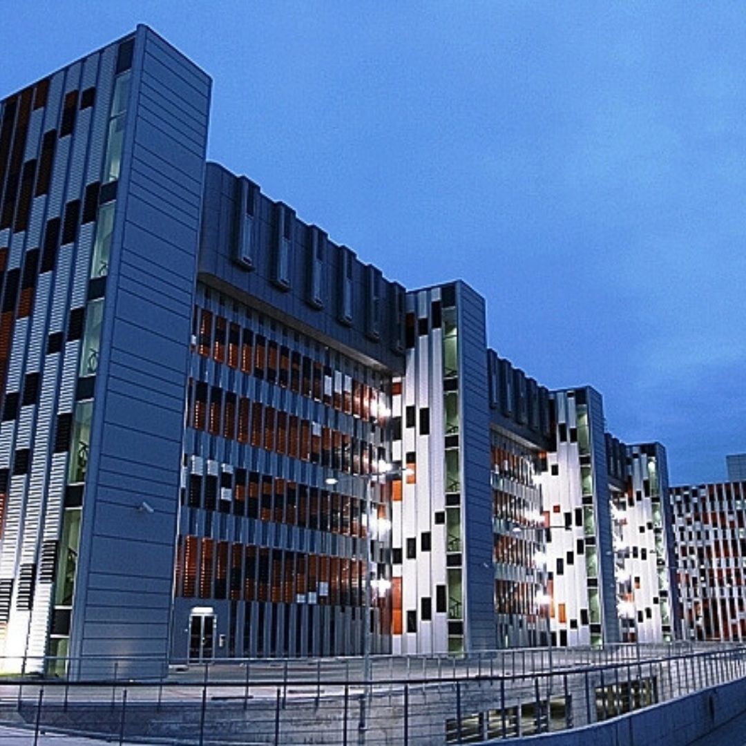 MVT-projects (4)